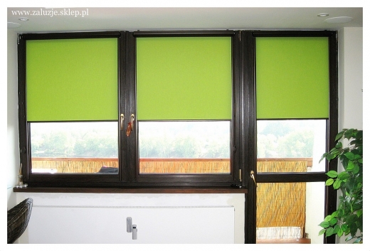 Rolety okienne w kolorze zielonym